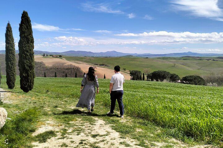 Semi-Private Chianti Classico and Montalcino Day from Siena, Max 6 Guests, Licensed Guide (12/12)