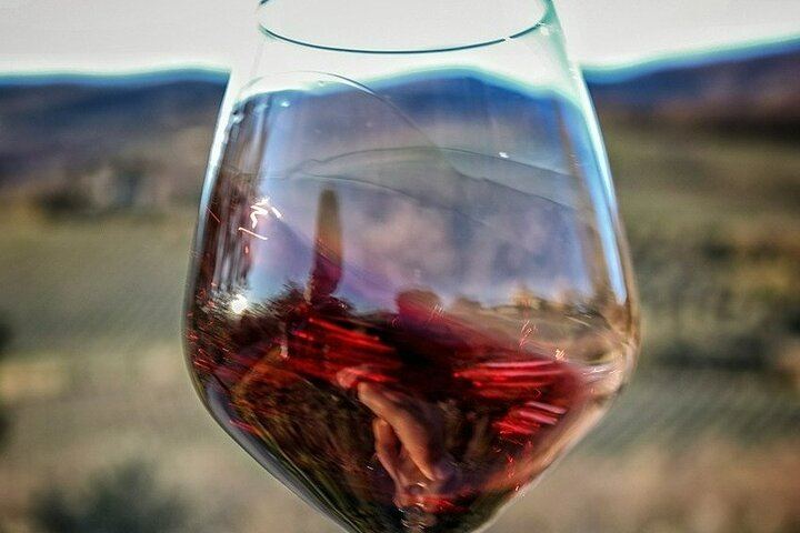 Semi-Private Chianti Classico and Montalcino Day from Siena, Max 6 Guests, Licensed Guide (10/12)