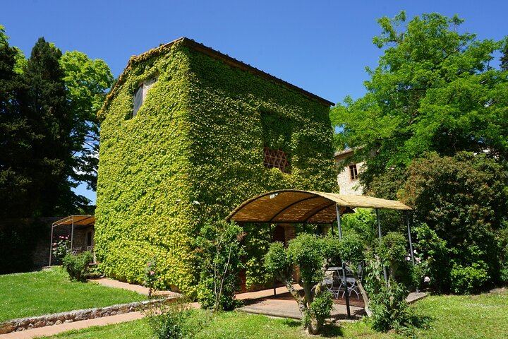 Semi-Private Chianti Classico and Montalcino Day from Siena, Max 6 Guests, Licensed Guide (9/12)