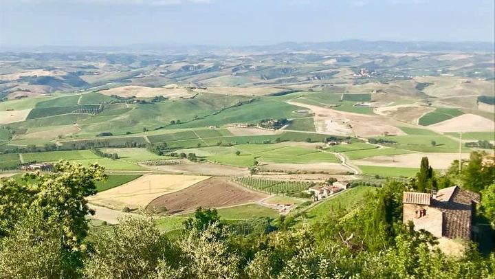 Small-Group Chianti Wine Tour from Florence in a Mercedes V-Class Van, 2 Wineries (2/5)