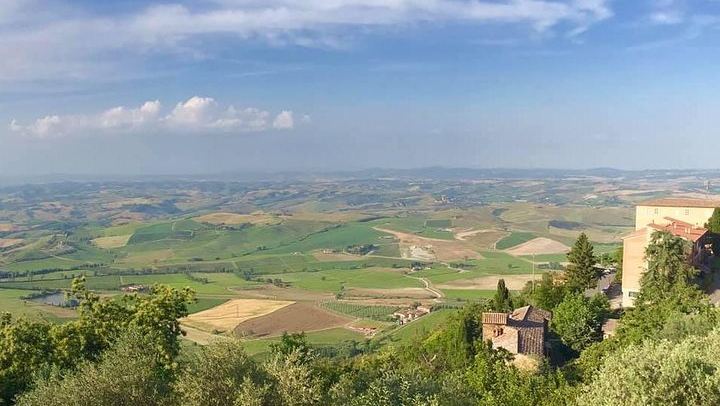 Small-Group Chianti Wine Tour from Florence in a Mercedes V-Class Van, 2 Wineries (1/5)
