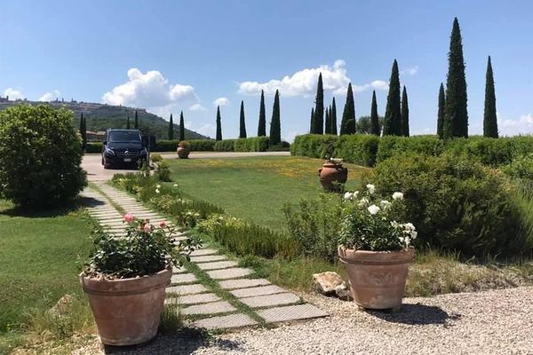 Small-Group Chianti Wine Tour from Florence in a Mercedes V-Class Van, 2 Wineries