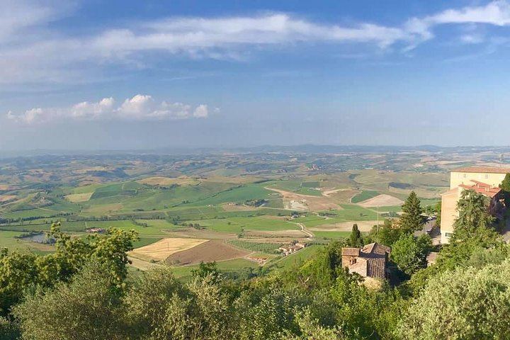Small-Group Chianti Wine Tour from Florence in a Mercedes V-Class Van, 2 Wineries (1/5)