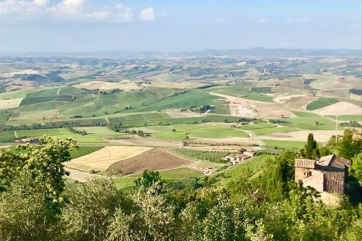 Small-Group Chianti Wine Tour from Florence in a Mercedes V-Class Van, 2 Wineries (2/5)