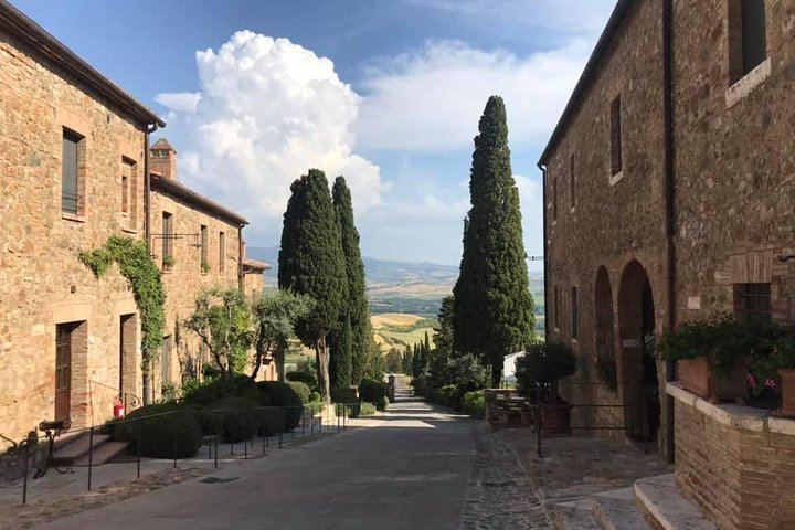Small-Group Chianti Wine Tour from Florence in a Mercedes V-Class Van, 2 Wineries (3/5)