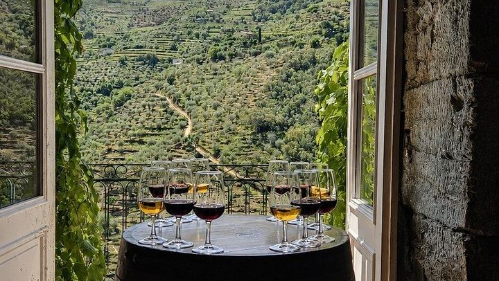 Small-Group Douro Valley Day from Porto: Three Wineries, Winery Lunch, Lapa Church Start (2/12)