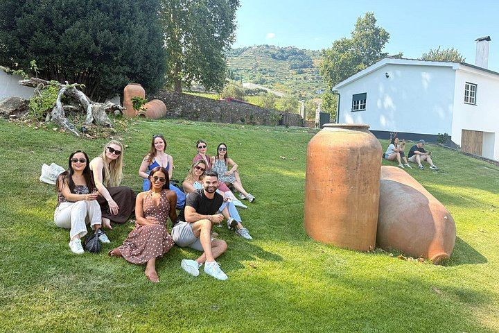 Small-Group Douro Valley Day from Porto: Three Wineries, Winery Lunch, Lapa Church Start (6/12)
