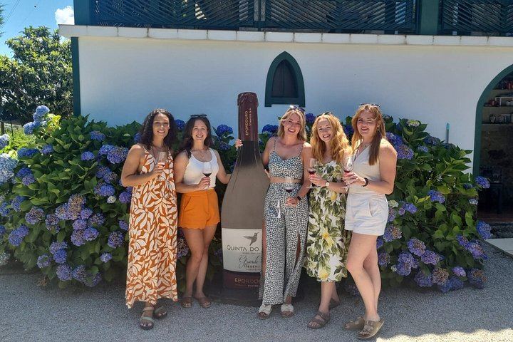 Small-Group Douro Valley Day from Porto: Three Wineries, Winery Lunch, Lapa Church Start (12/12)