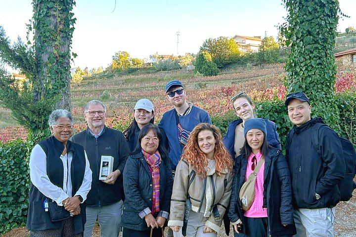 Small-Group Douro Valley Day from Porto: Three Wineries, Winery Lunch, Lapa Church Start (9/12)