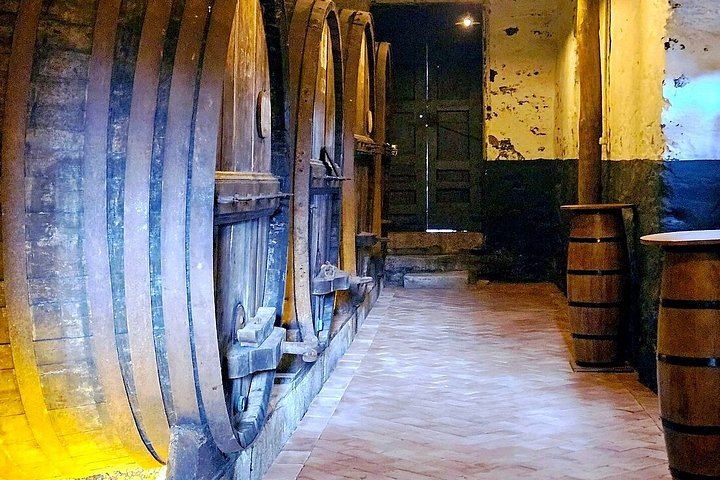 Small-Group Douro Valley Day from Porto: Three Wineries, Winery Lunch, Lapa Church Start (7/12)