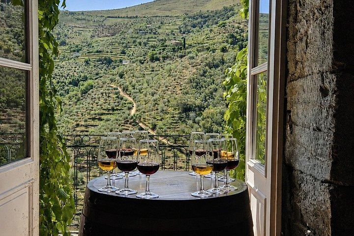 Small-Group Douro Valley Day from Porto: Three Wineries, Winery Lunch, Lapa Church Start (2/12)