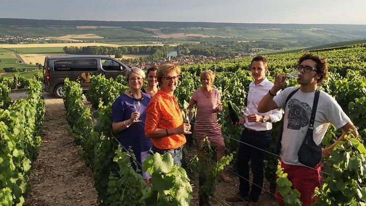 Small Group Full-Day Champagne Tour from Reims: Three Family Growers, Ten Tastings, Lunch (1/5)