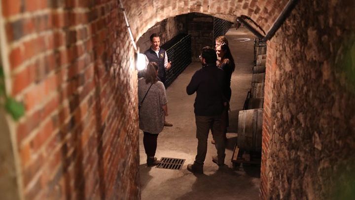 Small Group Full-Day Champagne Tour from Reims: Three Family Growers, Ten Tastings, Lunch (2/5)