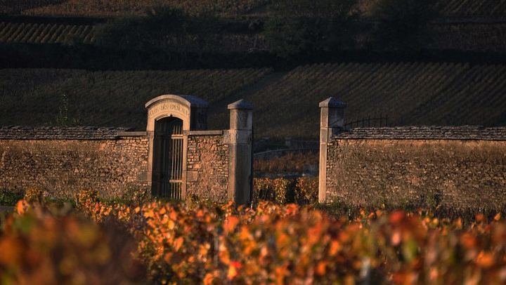 Burgundy Full-Day Tour from Dijon: Côte de Nuits, Côte de Beaune and Beaune, Max 8 People (4/11)