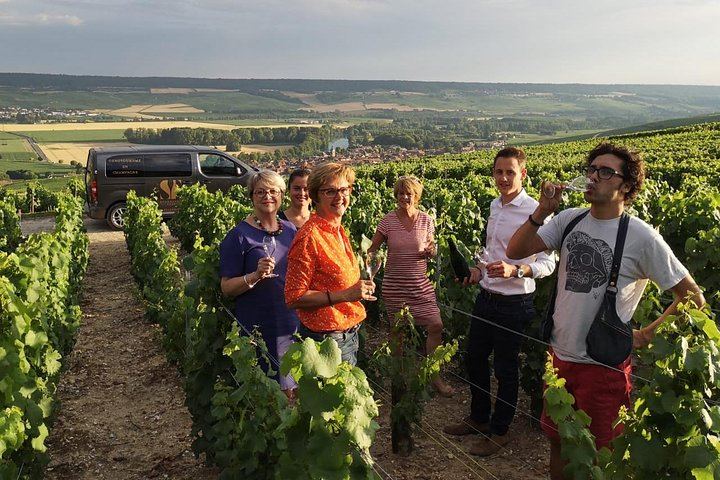 Small Group Full-Day Champagne Tour from Reims: Three Family Growers, Ten Tastings, Lunch (1/5)