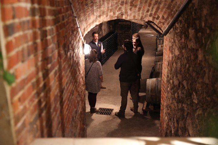 Small Group Full-Day Champagne Tour from Reims: Three Family Growers, Ten Tastings, Lunch (2/5)