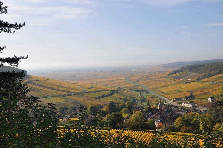 Burgundy Full-Day Tour from Dijon: Côte de Nuits, Côte de Beaune and Beaune, Max 8 People (8/11)