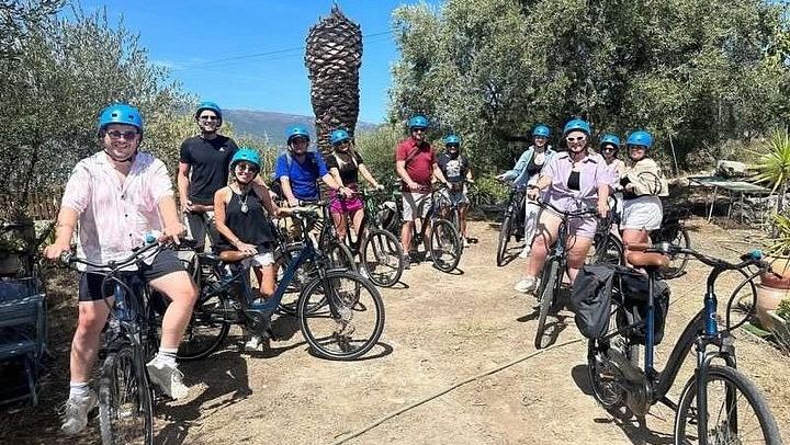 Small-Group Guided E-Bike Ride to an Organic Family Vineyard in Nice (3/12)