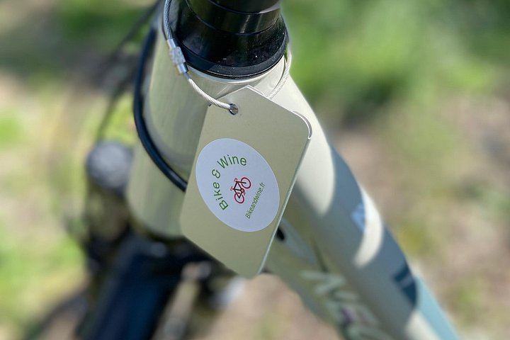 Small-Group Guided E-Bike Ride to an Organic Family Vineyard in Nice (10/12)