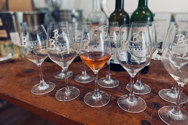 Small-Group Guided E-Bike Ride to an Organic Family Vineyard in Nice (6/12)
