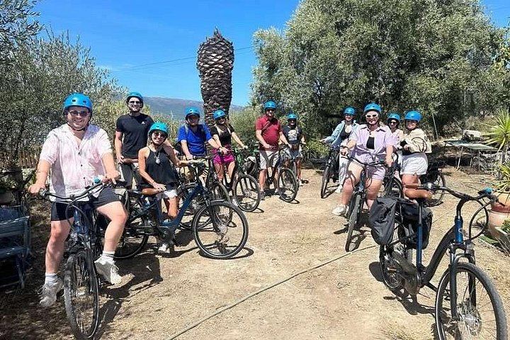 Small-Group Guided E-Bike Ride to an Organic Family Vineyard in Nice (3/12)