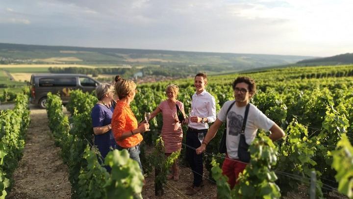Small Group Half-Day Champagne Tour from Reims: Two Small Growers, Morning or Afternoon (4/5)