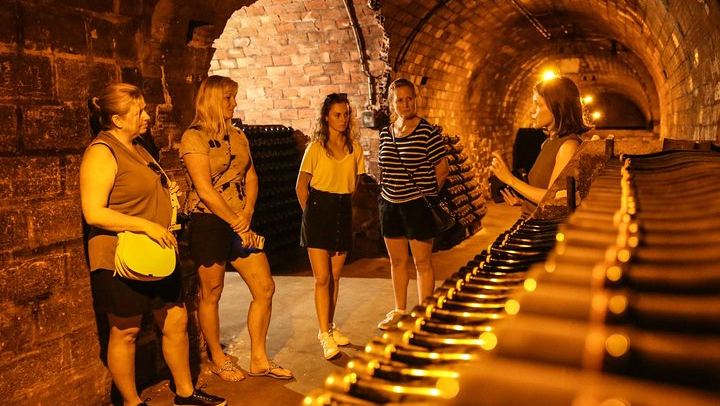 Small Group Half-Day Champagne Tour from Reims: Two Small Growers, Morning or Afternoon (2/5)