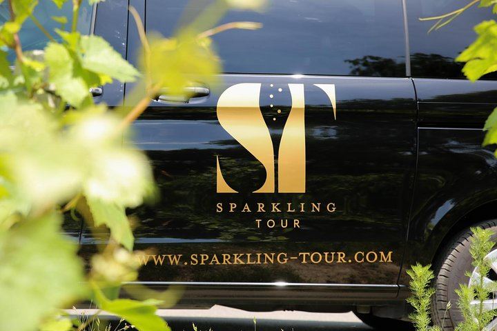 Small Group Half-Day Champagne Tour from Reims: Two Small Growers, Morning or Afternoon (5/5)
