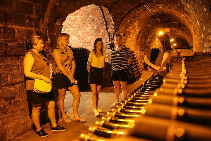 Small Group Half-Day Champagne Tour from Reims: Two Small Growers, Morning or Afternoon (2/5)