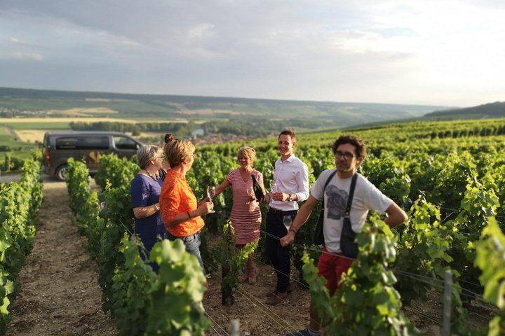Small Group Half-Day Champagne Tour from Reims: Two Small Growers, Morning or Afternoon (4/5)