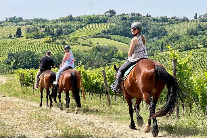 Small-Group Horseback Ride with Winery Lunch and San Gimignano Visit (1/12)