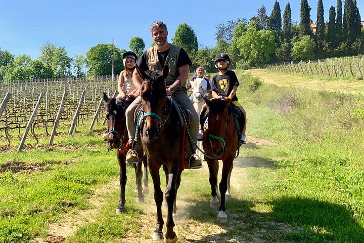 Small-Group Horseback Ride with Winery Lunch and San Gimignano Visit (7/12)