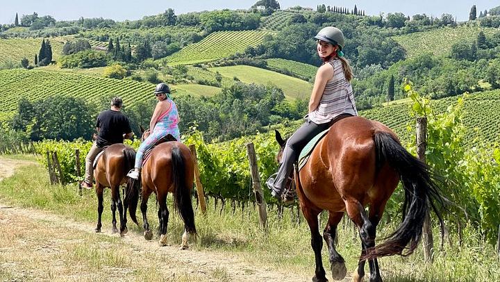 Small-Group Horseback Ride with Winery Lunch and San Gimignano Visit (1/12)
