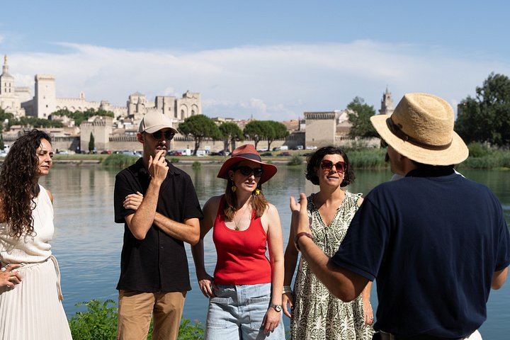 Small-Group Marseille Cruise Shore Excursion: Avignon and Châteauneuf-du-Pape Wine (1/8)