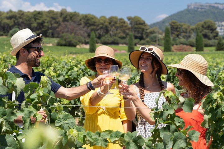 Small-Group Marseille Cruise Shore Excursion: Avignon and Châteauneuf-du-Pape Wine (7/8)