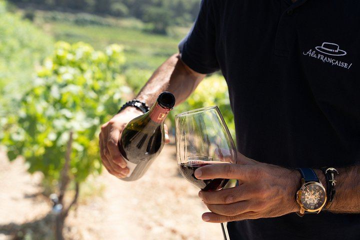 Small-Group Marseille Cruise Shore Excursion: Avignon and Châteauneuf-du-Pape Wine (5/8)