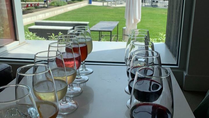 Small Group Niagara Wine Tour from Toronto: Reif, Pillitteri, Between the Lines, Lunch (1/7)