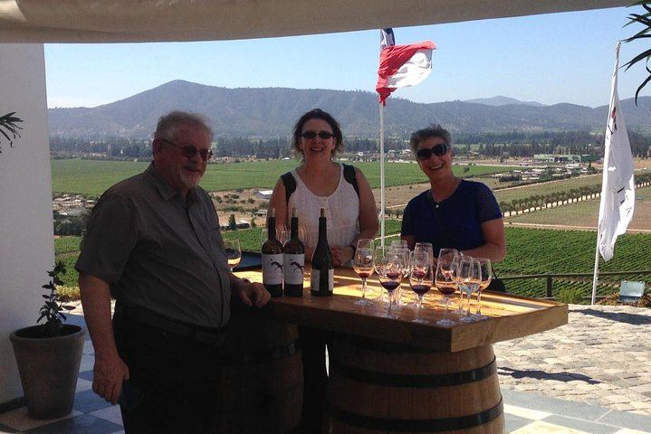 Small-Group Cruise Day Trip: Valparaiso, Viña del Mar and Casablanca Winery Tasting (5/12)