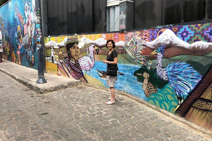 Small-Group Cruise Day Trip: Valparaiso, Viña del Mar and Casablanca Winery Tasting (9/12)