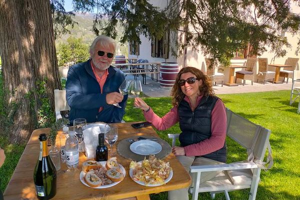 Single-Winery Prosecco Tasting from Venice: Sommelier Host, 4 Styles, Cheese Lunch