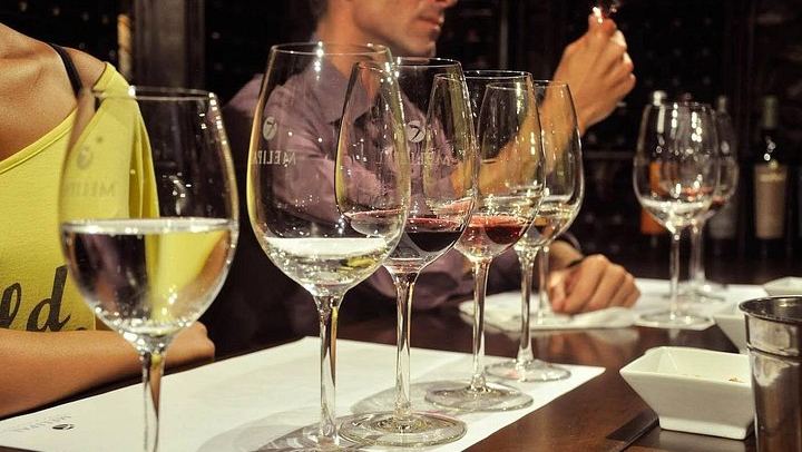 Small-Group Mendoza Wine Day: Three Luján de Cuyo or Maipú Wineries with Lunch (1/5)