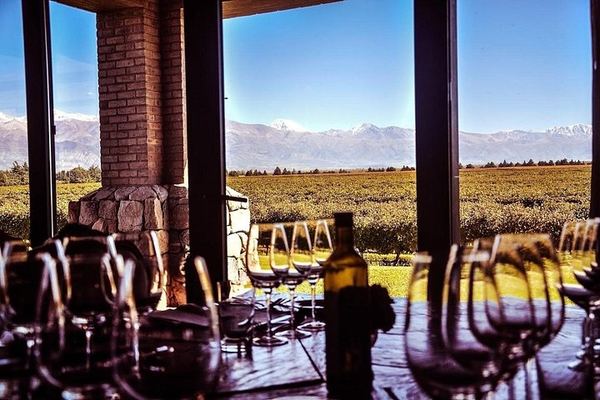 Small-Group Mendoza Wine Day: Three Luján de Cuyo or Maipú Wineries with Lunch