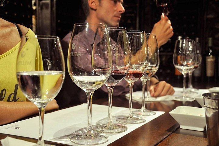 Small-Group Mendoza Wine Day: Three Luján de Cuyo or Maipú Wineries with Lunch (1/5)