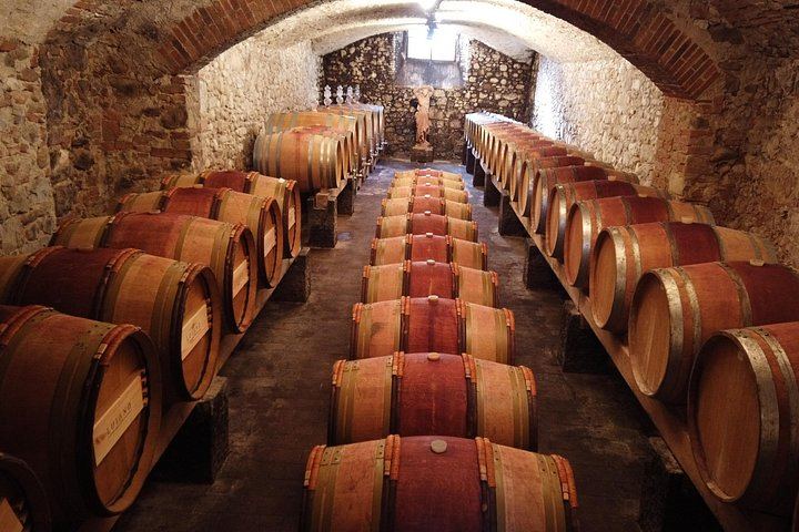 Small-Group Chianti Day from Florence: Riseccoli, Casa Emma, Poggio Torselli (8/12)