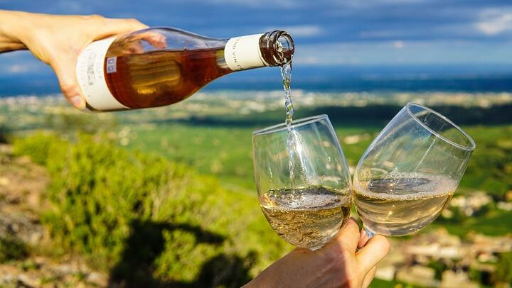Cap Classique Sparkling Wine Day from Cape Town: Small-Group Stellenbosch Estates (4/12)