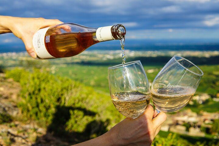 Cap Classique Sparkling Wine Day from Cape Town: Small-Group Stellenbosch Estates (4/12)
