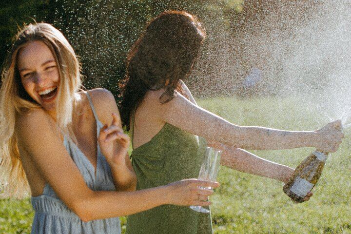 Cap Classique Sparkling Wine Day from Cape Town: Small-Group Stellenbosch Estates (5/12)