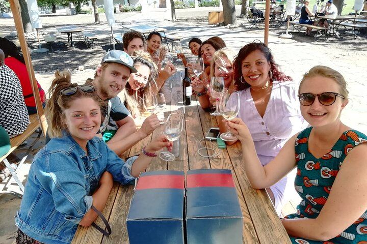Cap Classique Sparkling Wine Day from Cape Town: Small-Group Stellenbosch Estates (10/12)