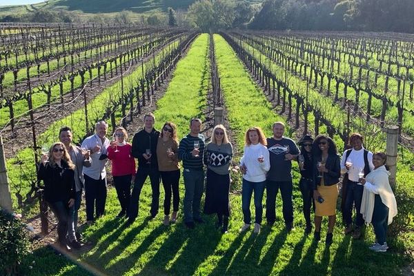 Small-Group Napa and Sonoma Wine Tour from San Francisco with Two Wineries