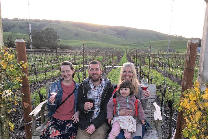 Small-Group Napa and Sonoma Wine Tour from San Francisco with Two Wineries (12/12)